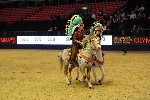 Quadrille - 00250